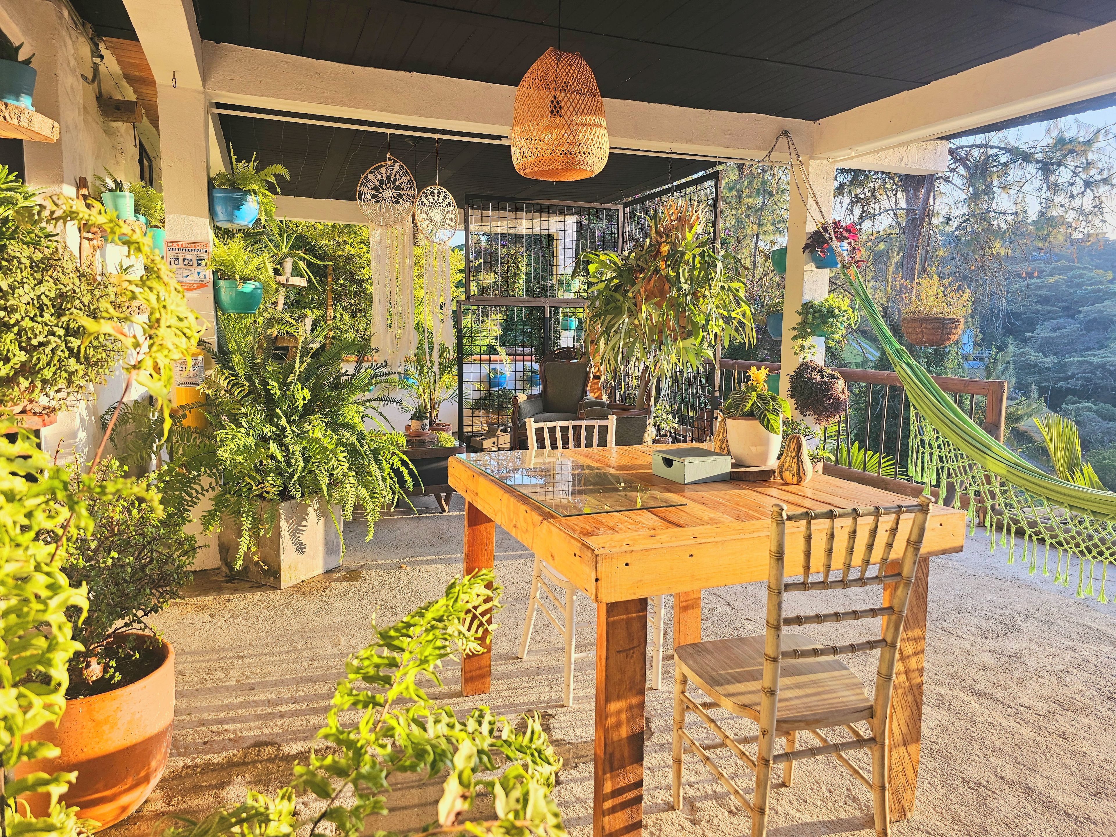 A covered patio area with a wooden table and chairs, surrounded by various potted plants and a hammock.