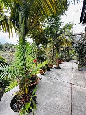 Room - Ecohotel Zona 7 (Rionegro)