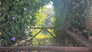 A garden pathway with a wooden gate, surrounded by lush greenery and flowering plants.