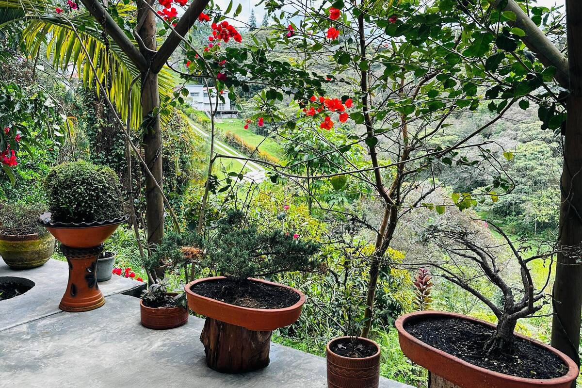 A greenhouse with potted plants and a view of the surrounding landscape.