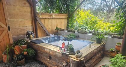 Ecohotel Zona 7