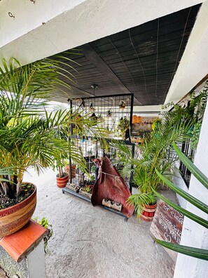 A covered outdoor area with potted plants, a wooden bench, and a metal rack with hanging items. - Ecohotel Zona 7 (Rionegro)