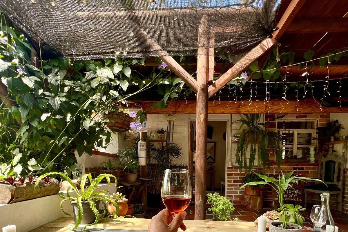A person holding a glass of red wine in a hot tub with a wooden pergola overhead.