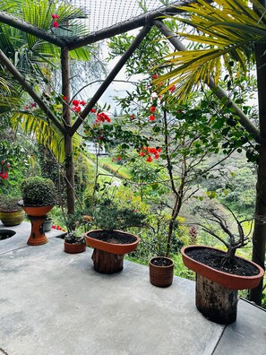 A greenhouse with various potted plants and a view of a lush landscape. - Ecohotel Zona 7 (Rionegro)