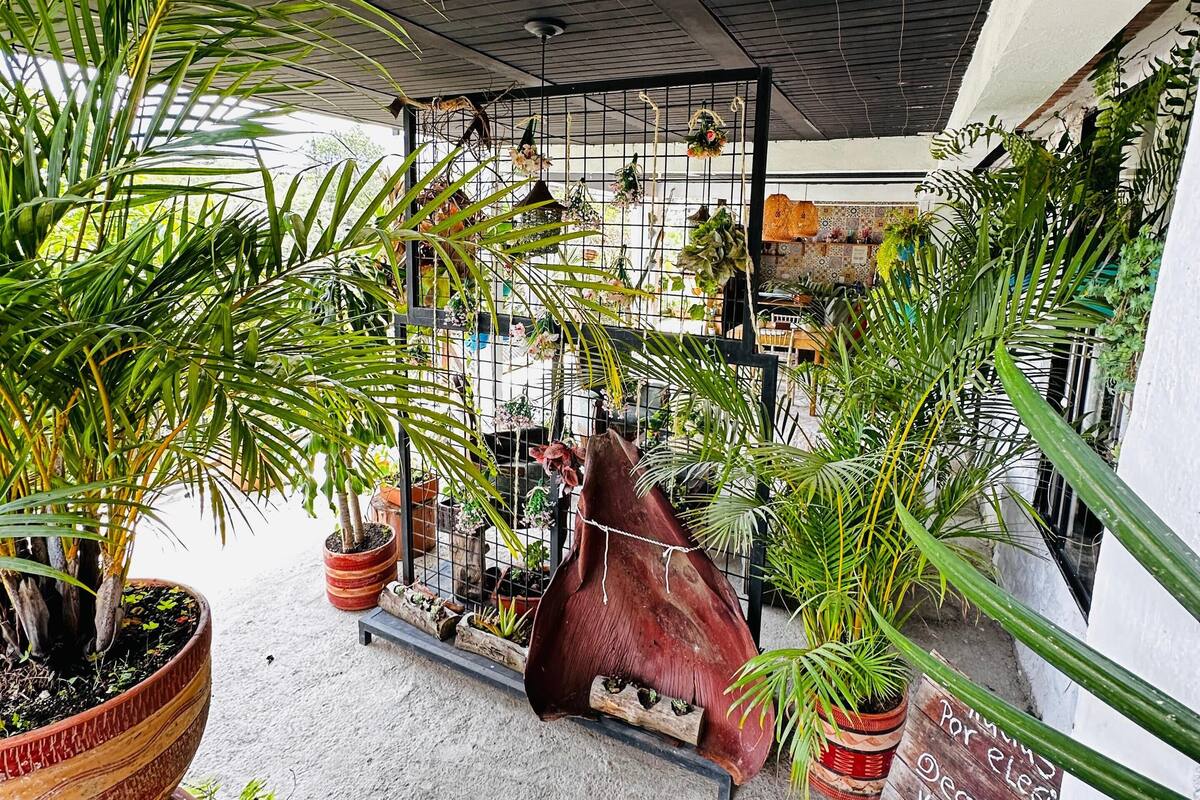 A covered outdoor area with potted plants, a wooden bench, and a metal rack with hanging items.