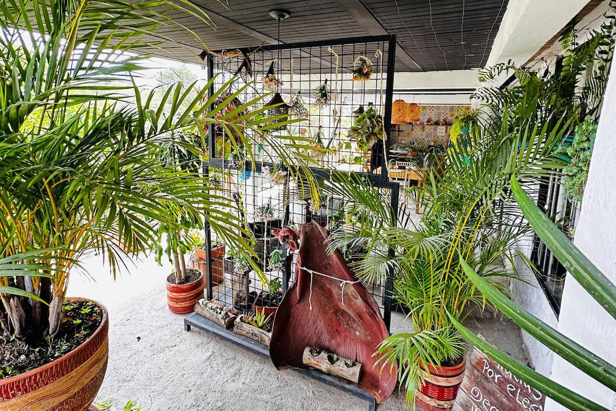 A covered outdoor area with potted plants, a wooden bench, and a metal rack with hanging items.