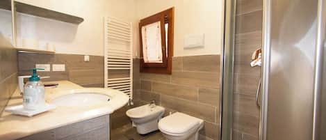 Shower, hair dryer, bidet, towels