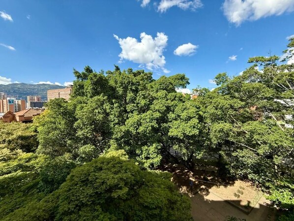 Pemandangan dari udara