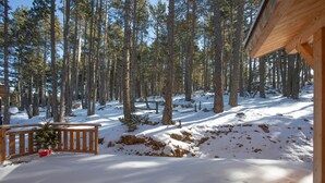 Eine Holzhütte mit einer mit Schnee bedeckten Terrasse und Blick auf einen Wald.
