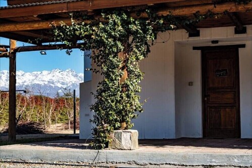 Casa Cuccina_Valle de Uco