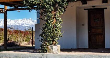 Casa Cuccina_Valle de Uco