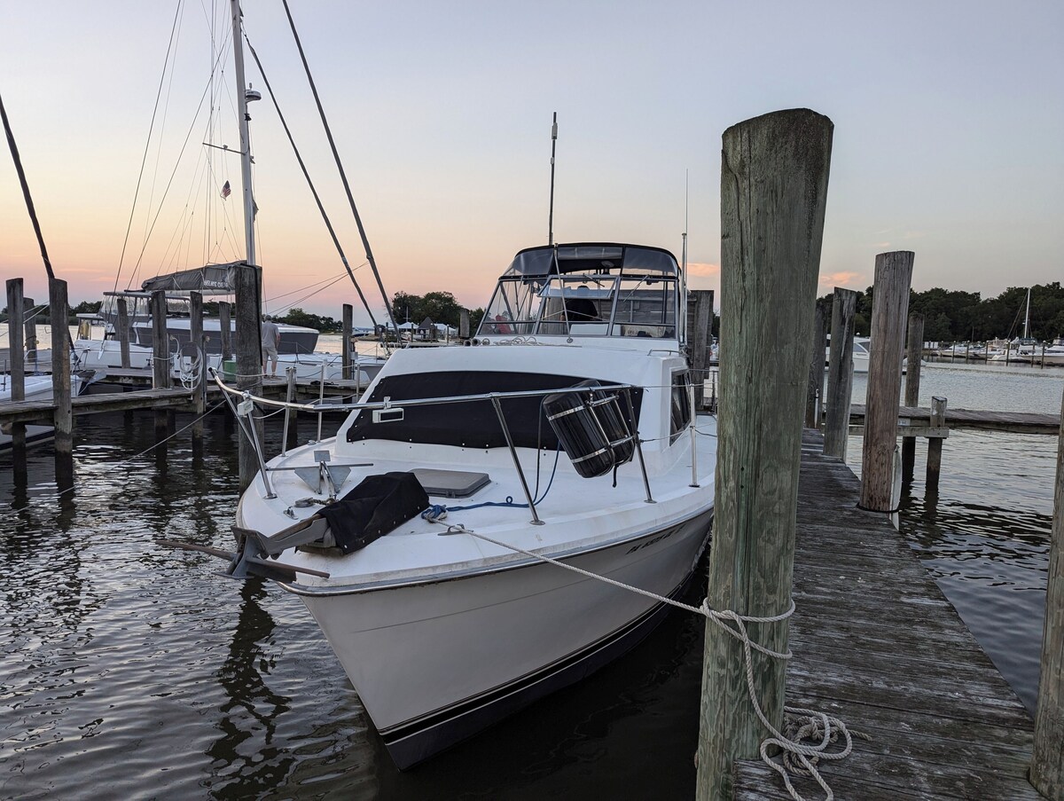 オーナーのプロフィール画像