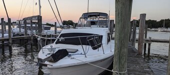 Your Tropical Oasis awaits in Hampton Roads Virginia