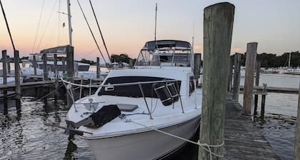 Your Tropical Oasis awaits in Hampton Roads Virginia