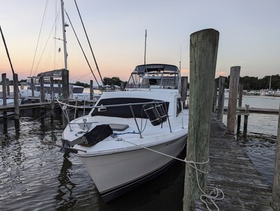 Your Tropical Oasis awaits in Hampton Roads Virginia