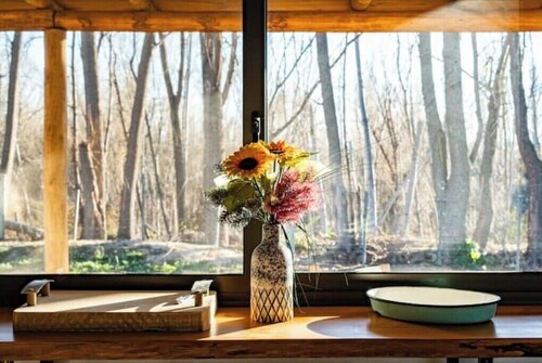 Vineyard Casita_Valle de Uco