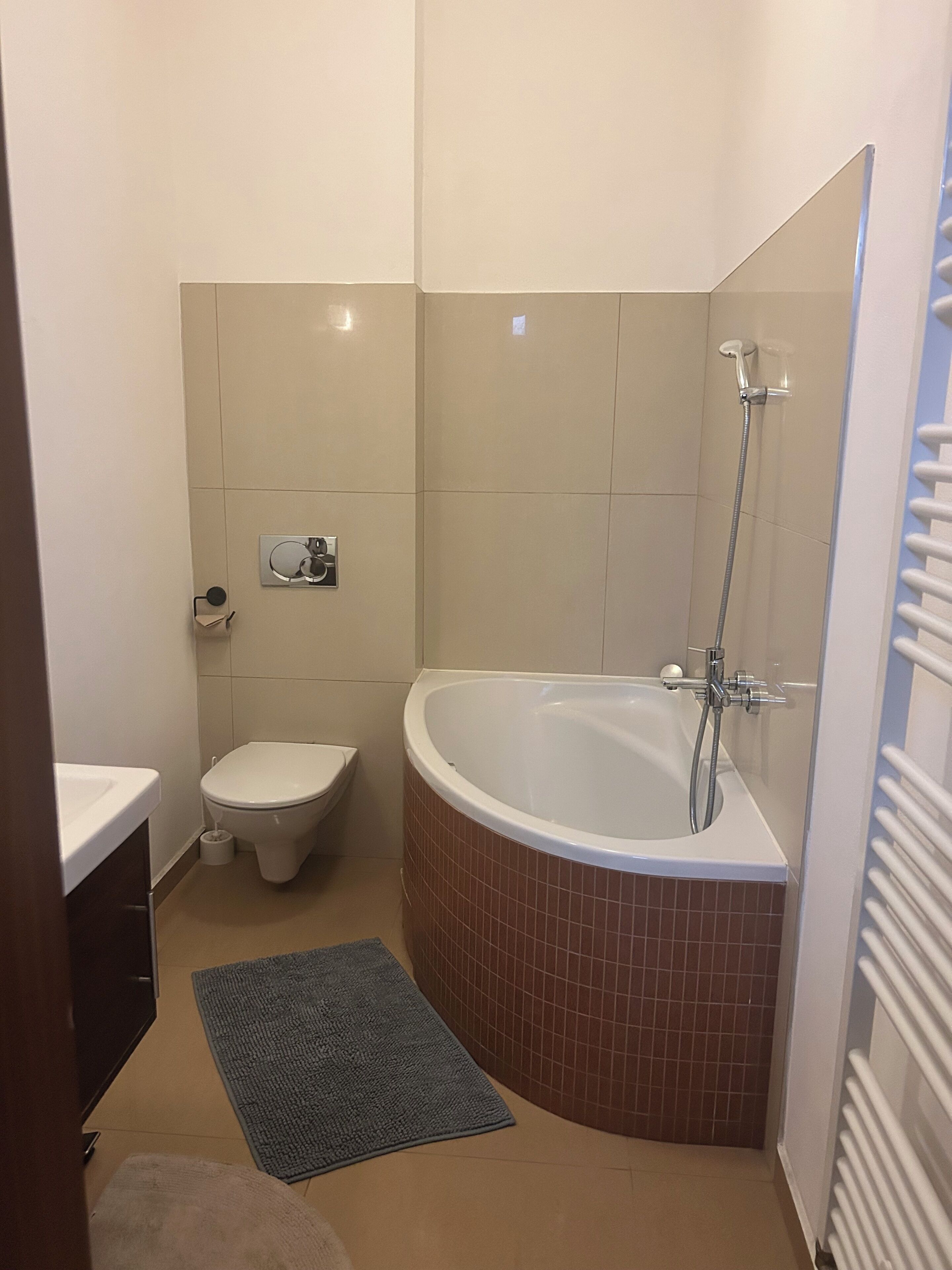 Secadora de cabello, toallas, papel de baño 