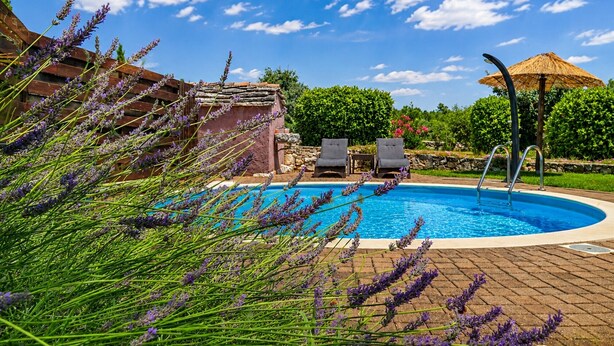 A swimming pool with lounge chairs, a thatched umbrella, and lavender plants. - Casa Vito in Žužići  - Haus für 4 Personen (Višnjan)