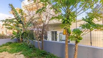 Apartamento | 2 quartos