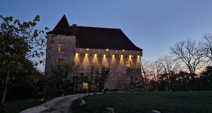 Château de Goudourville 13th century, private, sleeps 30, swimming pool, reception area