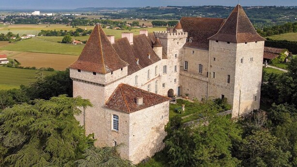 A castle with a prominent tower and a large courtyard surrounded by trees. - Château de Goudourville 13th century, private, sleeps 30, swimming pool, reception area (Goudourville)