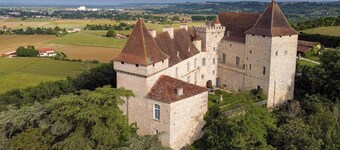 Château de Goudourville 13th century, private, sleeps 30, swimming pool, reception area