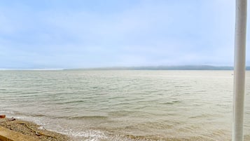 在海滩