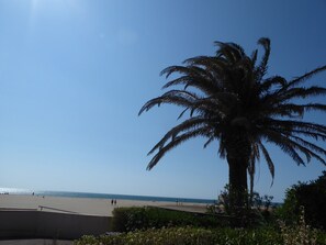 On the beach - South Seas getaway at Les Ayguades (Gruissan)