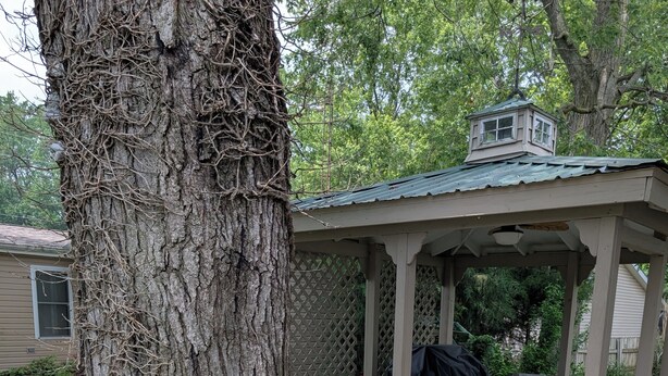 Una terraza de madera con un pabellón, una parrilla y un árbol.