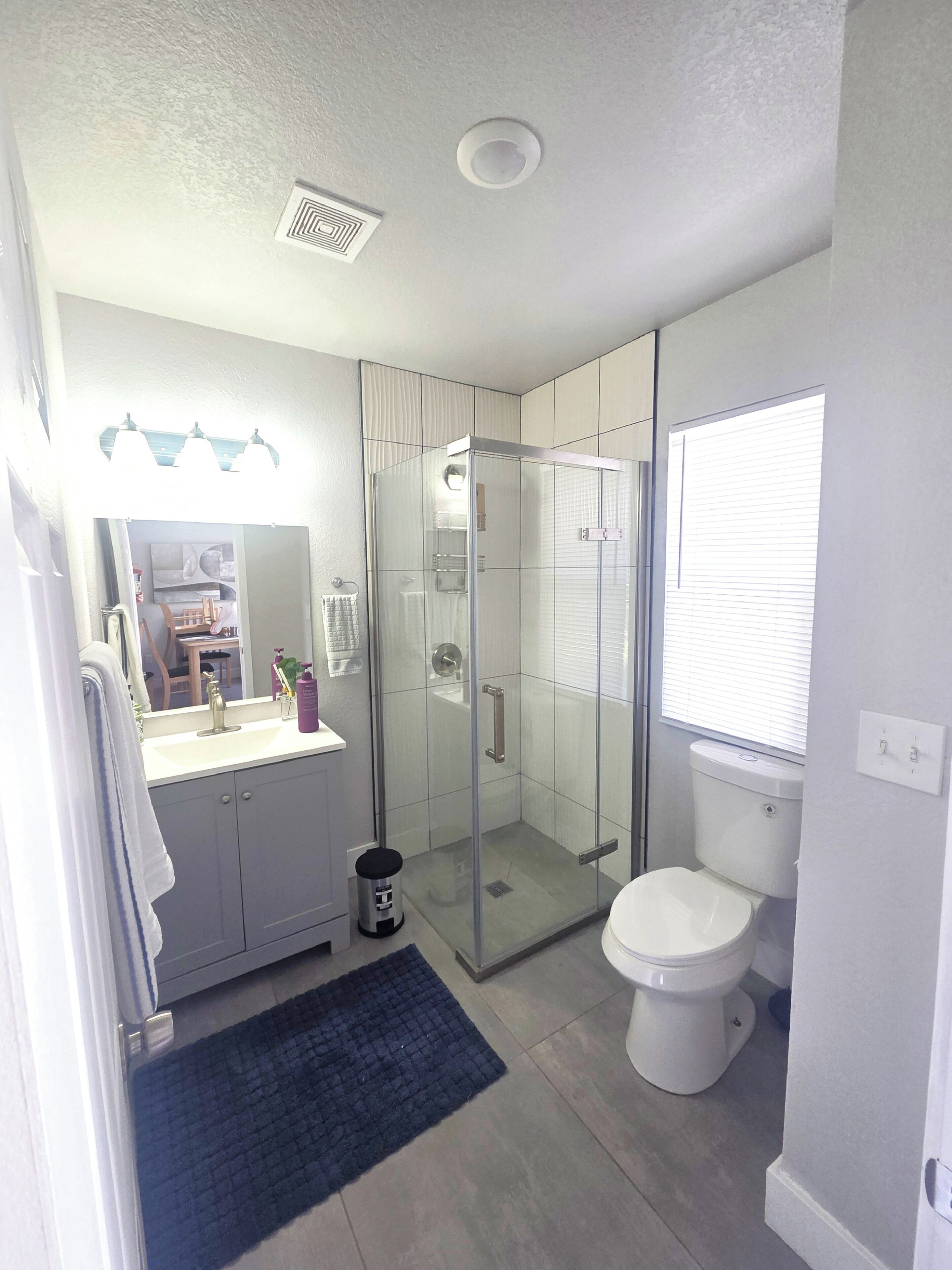 A bathroom with a glass-enclosed shower, a white toilet, and a sink with a mirror above it.