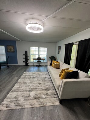 TV connectée, cheminée, livres