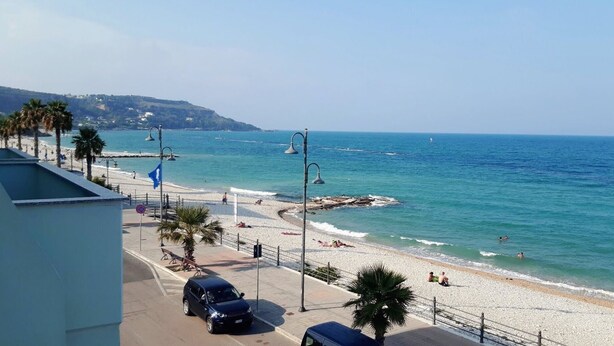 A beach with a rocky breakwater, palm trees, and a clear blue sea. - Almyrà House_ Costa dei Trabocchi (Abruzzo)
