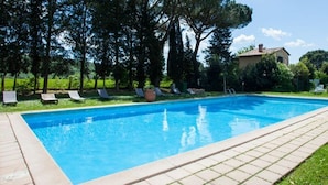 A rectangular swimming pool with a tiled border, surrounded by a grassy area with lounge chairs. - B&B Tenuta di Paganico - Wine & Food (Civitella Paganico)