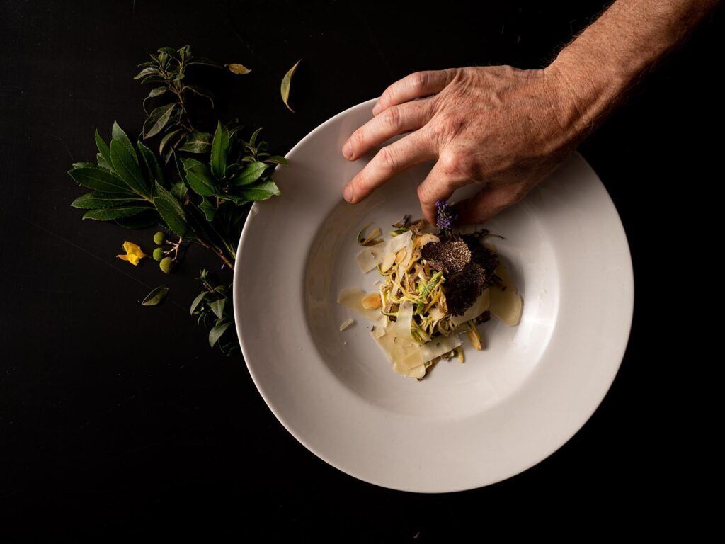 A hand placing a dish on a plate with a dark background and some greenery.