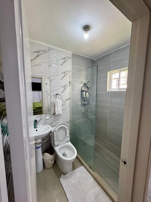 Hair dryer, towels, soap, toilet paper