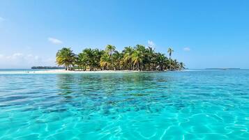 In Strandnähe, Strandtücher