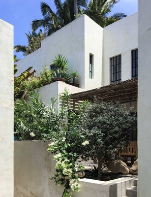 Property grounds - La Serenidad - a house for 6 (or 7), and a bungalow for 2 on one premise. (Sayulita)