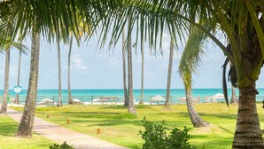 A pathway leading to a beach with palm trees, beach umbrellas, and a sign indicating a lifeguard on duty. - Flat 208-C  Condomínio Carneiros Resort (Tamandaré)