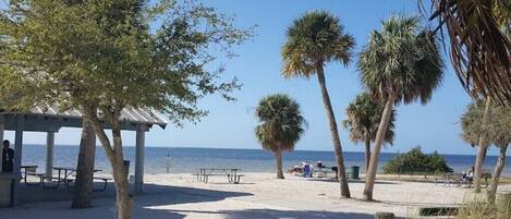 Sun-loungers, beach towels