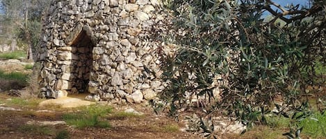 Esterni