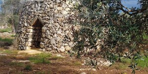 Exterior - Masseria la Maestà Ospitalità rurale (Sannicola)