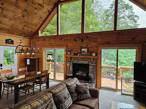 Smart TV, fireplace, DVD player, computer monitors