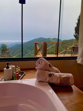 Vista a la montaña
