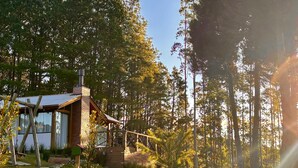 Une cabane avec une cheminée en briques, entourée d’une forêt.