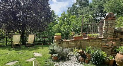B&B Scarperia comere with terrace, garden and private pool and parking
