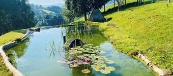 Farmhouse in secluded location for 10 people with pool and hot tub & dogs welcome