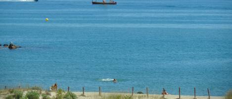 Playa