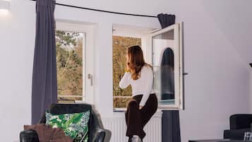 Iron/ironing board, free WiFi