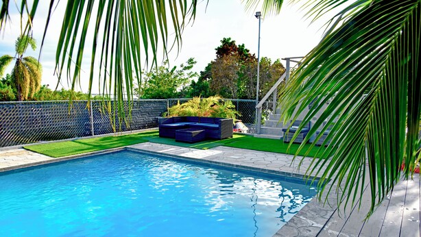 A swimming pool with a blue mosaic tile border, surrounded by a fence and greenery.