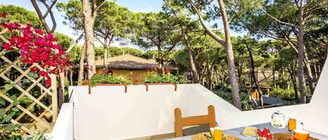 Apartment | 1 bedroom